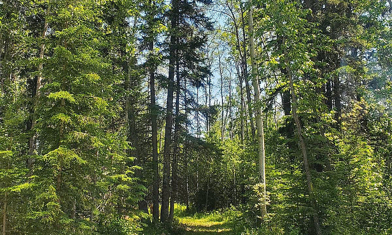10 Acres Of Paradise...