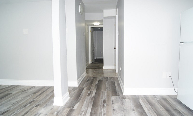 1 Bedroom Basement A...