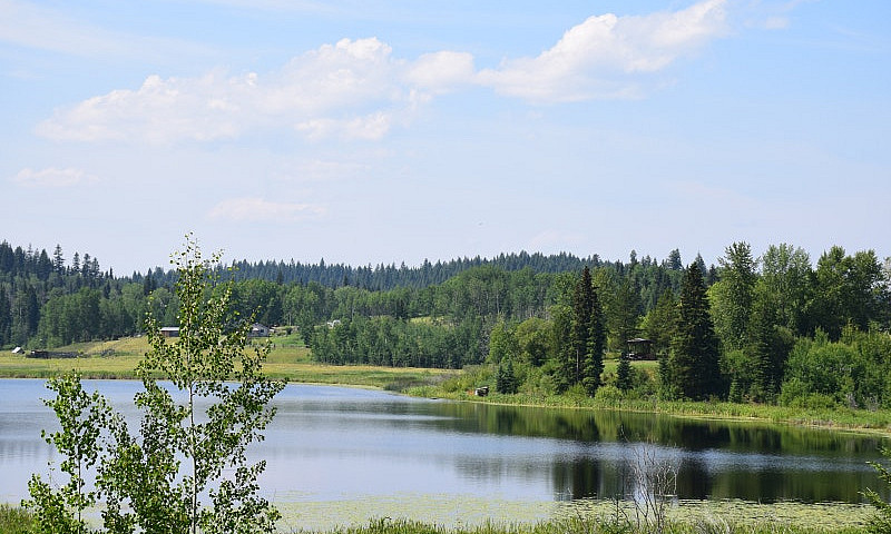 Beautiful Property, ...