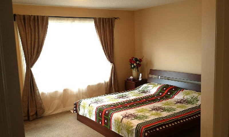 5 Br, 3.5 Bath, Hous...
