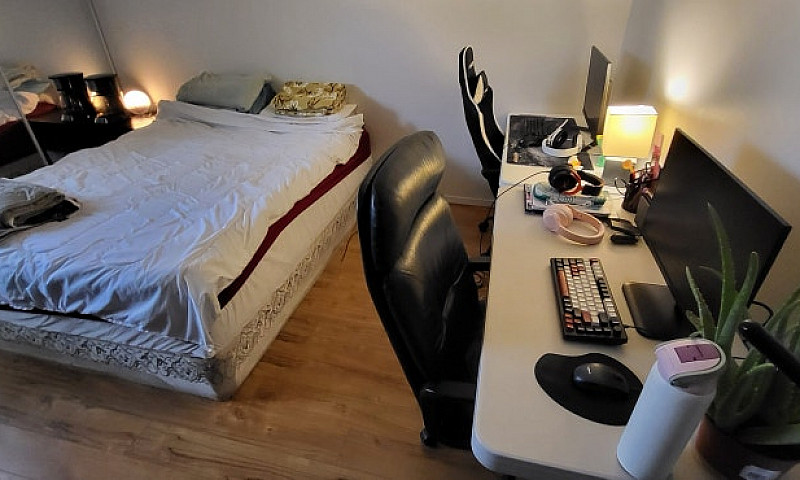 1 Bedroom Suite Ever...