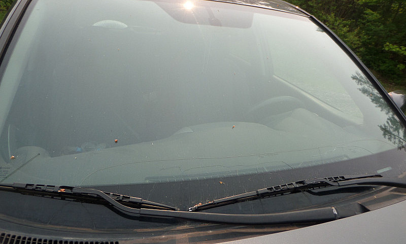 2007 Toyota Rav4 Spo...