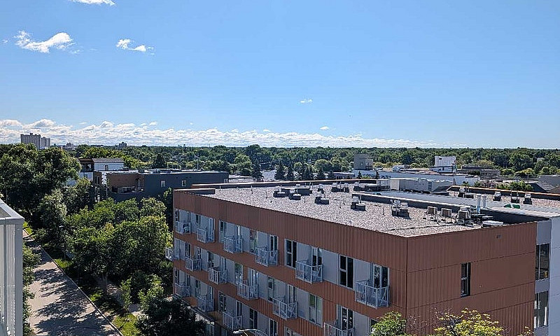 1 Bed 1 Bath Rental...