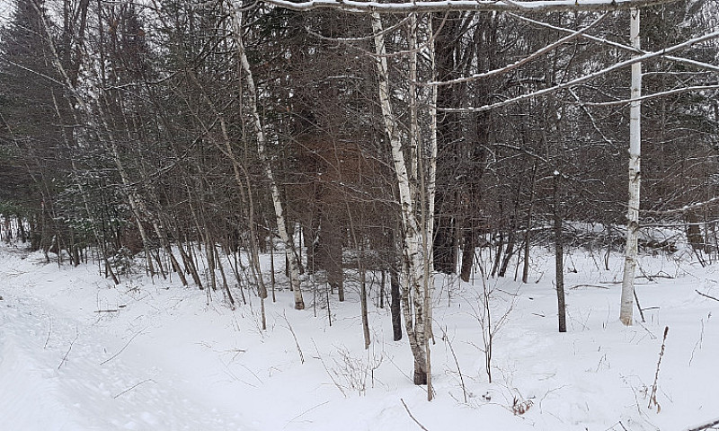 Terrain A Vendre St-...