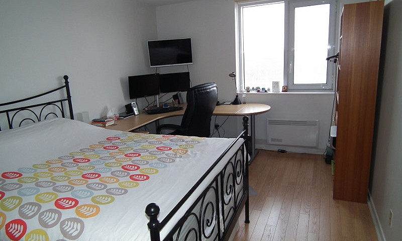 Spacious 1 Bedroom -...