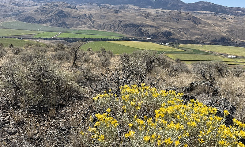 7 View Acreages For ...