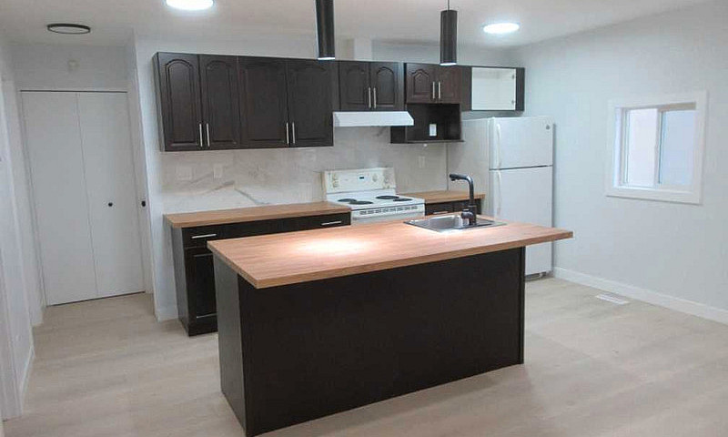 Modern 3 Br 2 Bath F...