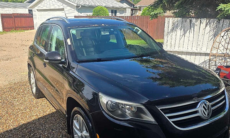 2010 Volkswagen Tigu...