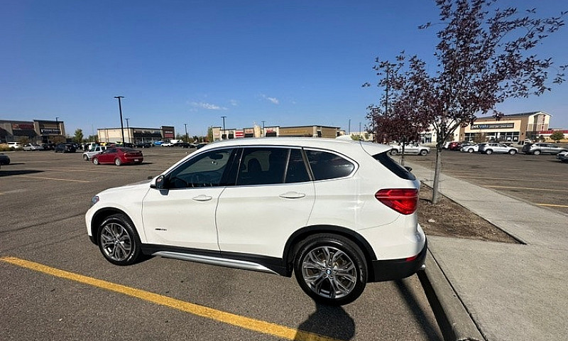 2017 Bmw X1 (Xdrive2...