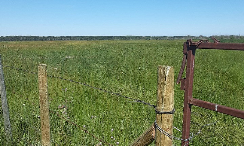 800 Acres Of Cattle Land In The Interlakes in Manitoba | ClassifiedsEU