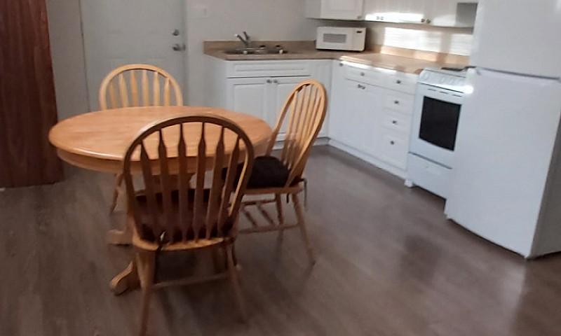 One Bedroom Basement...