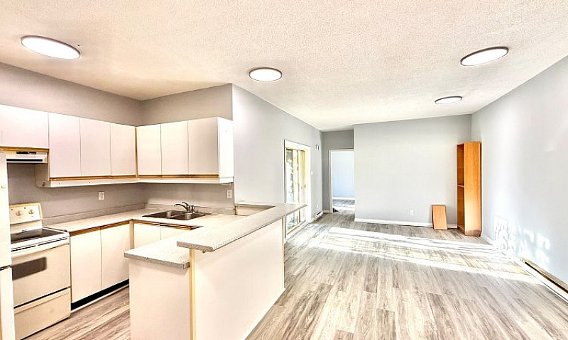 2 Bed 1 Bath Unit By...