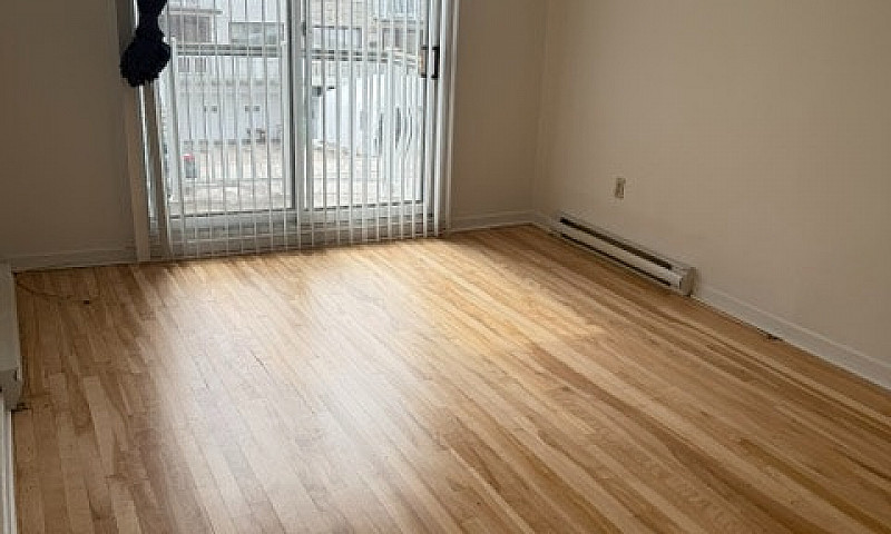 4 1/2 Haut De Duplex...