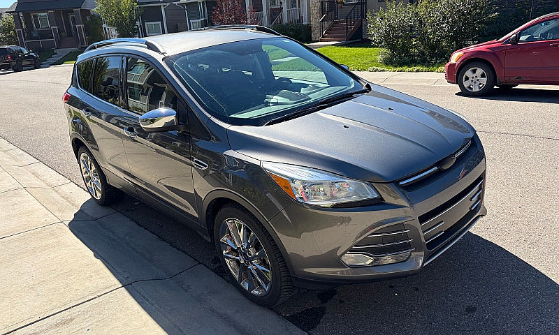 2014 Escape Se...