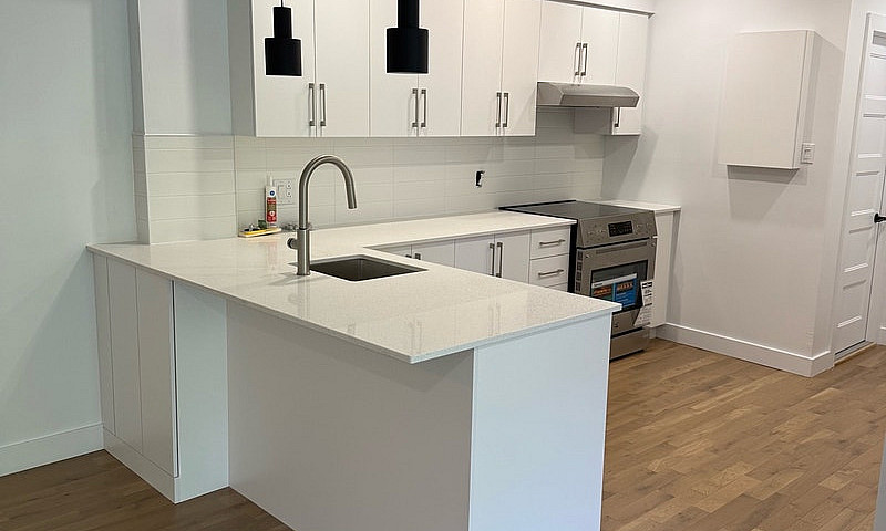 3 1/2 Newly Renovate...
