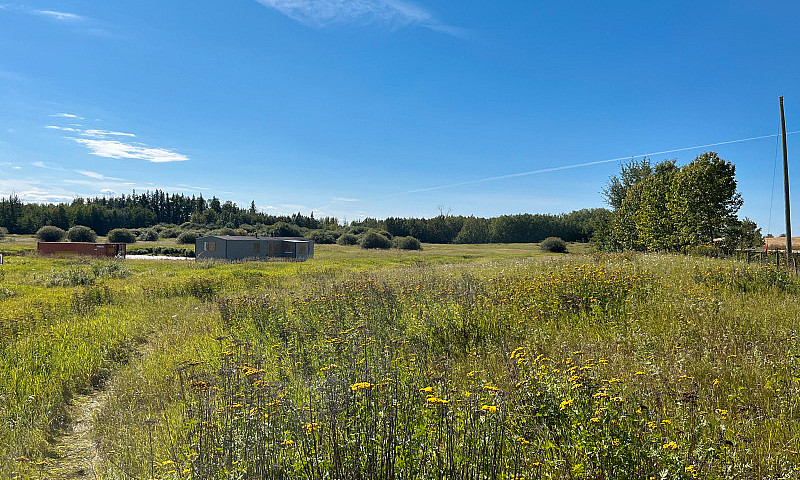 Land For Sale Albert...