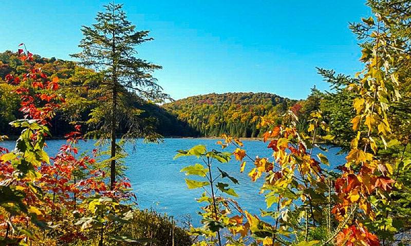 Maison À Louer Lac S...