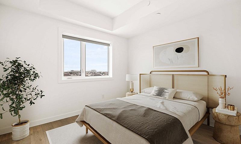 Luxury 2 Bedroom Apa...