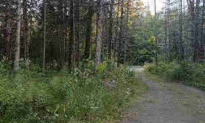 Land For Sale...
