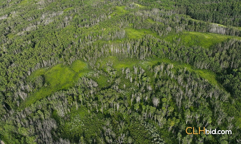 157 Acres Farm Land ...