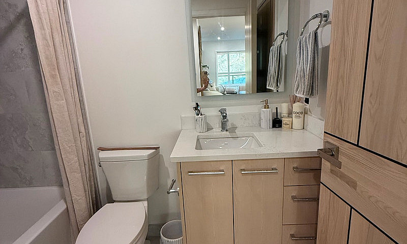 Fully Furnished Luxu...