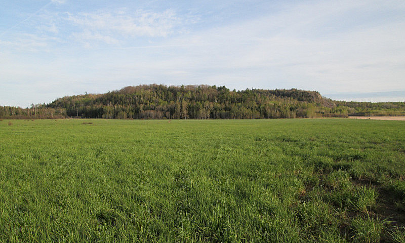320 Acres Farmland -...