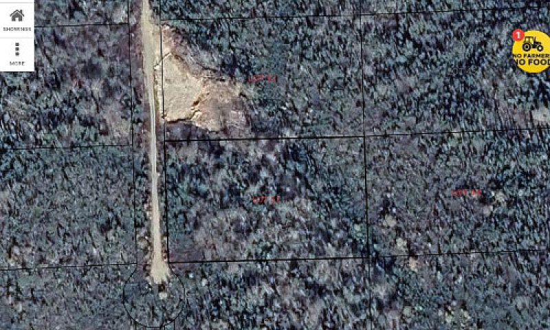 2.5 Acre Surveyed Bu...