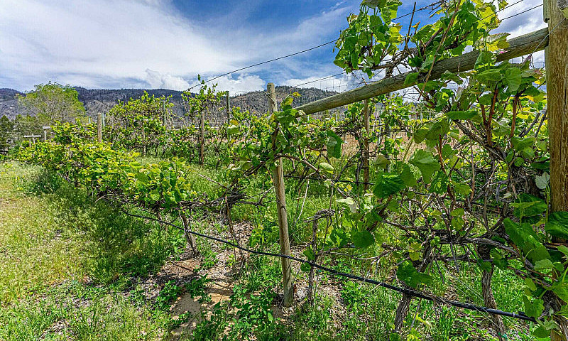7479 45 St, Osoyoos,...