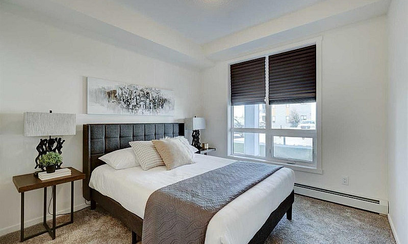 2 Bedroom + Den Apar...