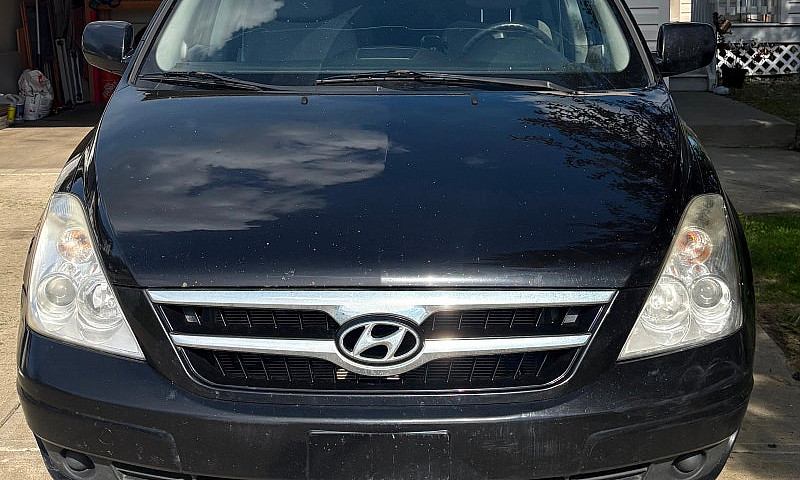 2010 Hyundai Entoura...