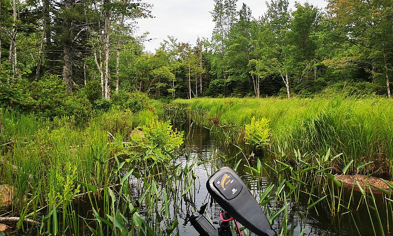 80 Acres Of Paradise...