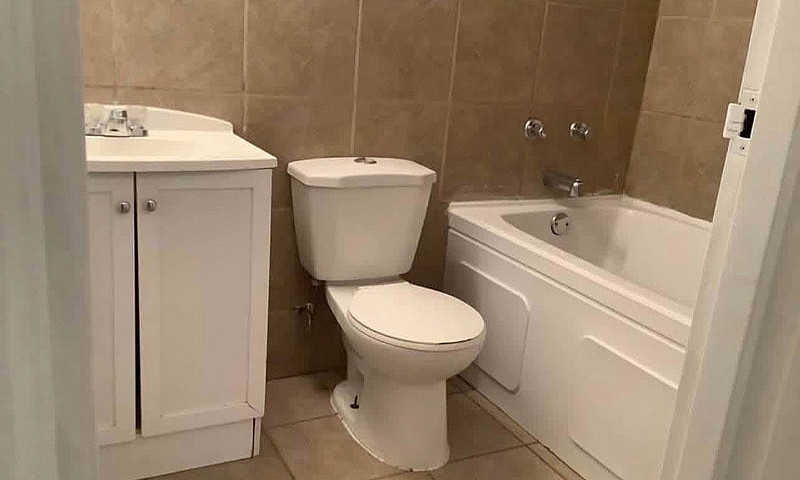 1 Bedroom Apartment ...
