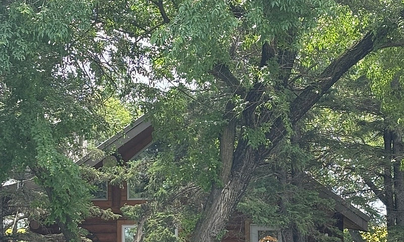 For Sale House, Log ...