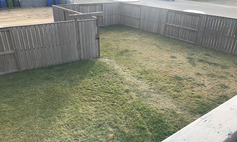 4 Bed - 2 Bath Home ...