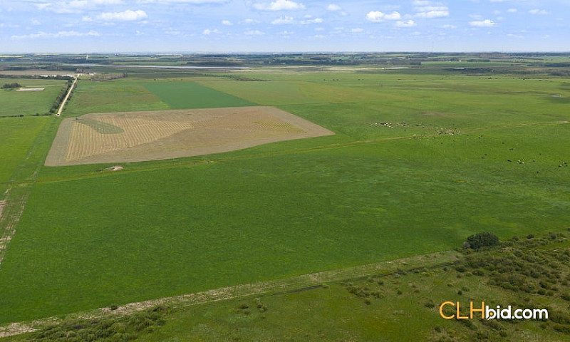 160 Acres Farm Land ...