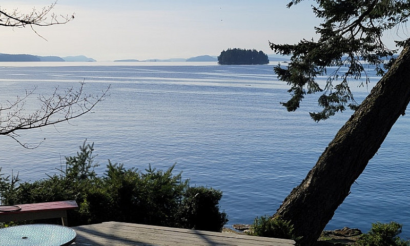 Waterfront Property ...