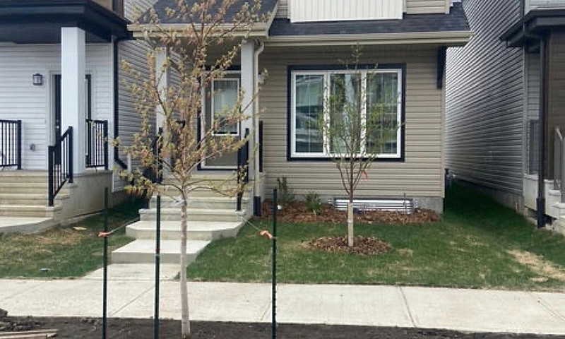 3 Homes For Sale Wit...