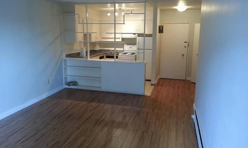 Spacious 1Br Apartme...