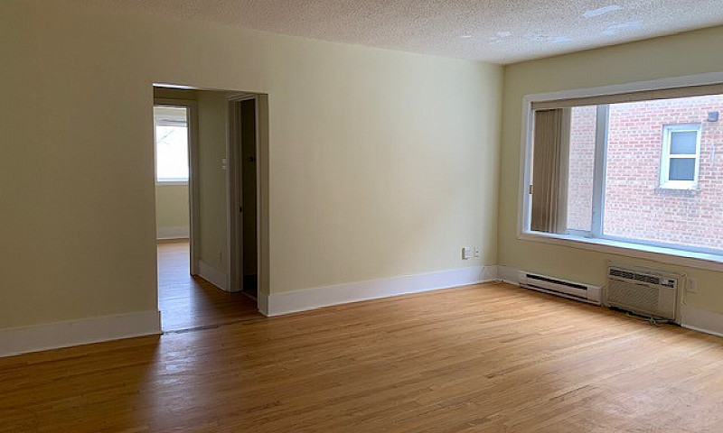 1 Bedroom Apt—— Osbo...