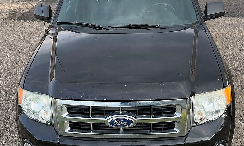 Ford Escape...