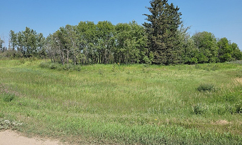 2 Acre Yard Site For...