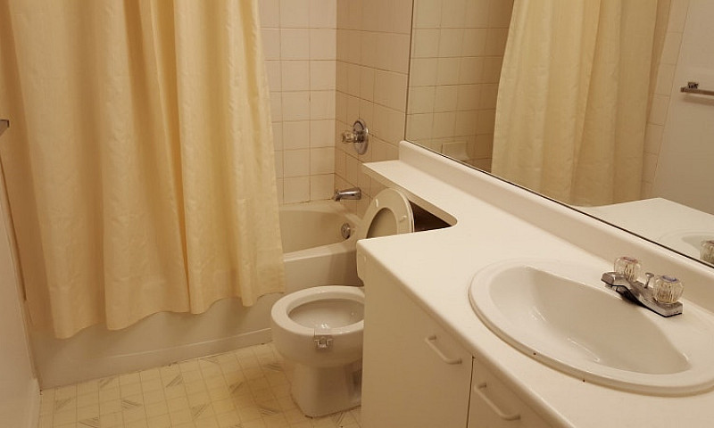 Fully Furnished 1Br ...