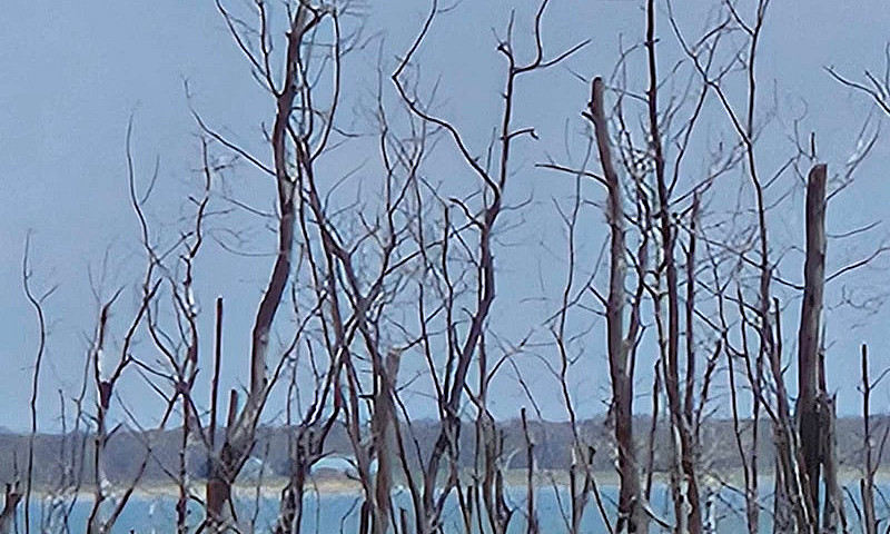 80 Acres, Lakefront ...