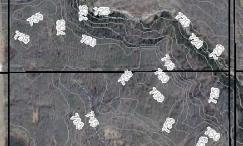 Half Section Of Fore...