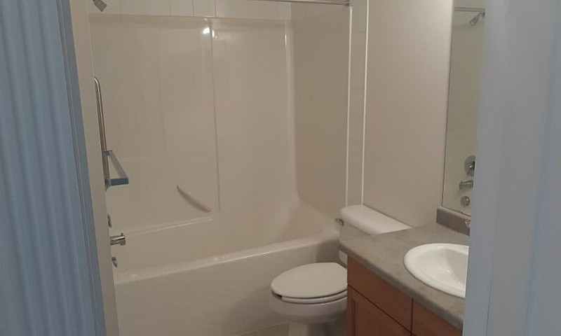 Over 55 Condo For Re...