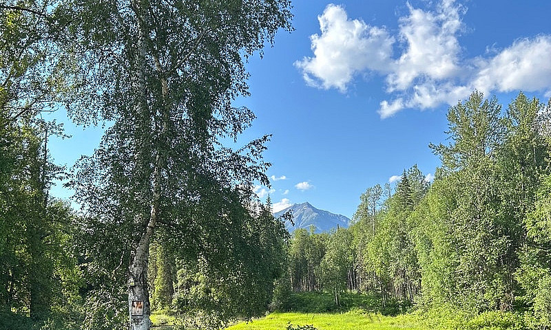 Off Grid Property...