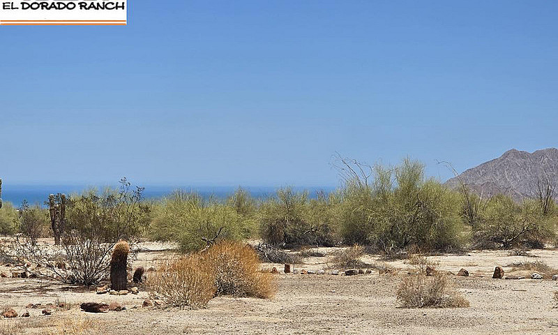 San Felipe Baja Sola...