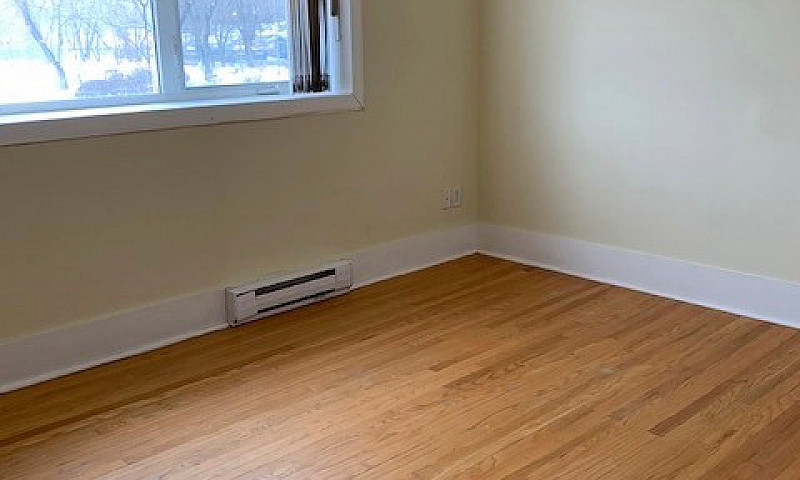 1 Bedroom Apt—— Osbo...