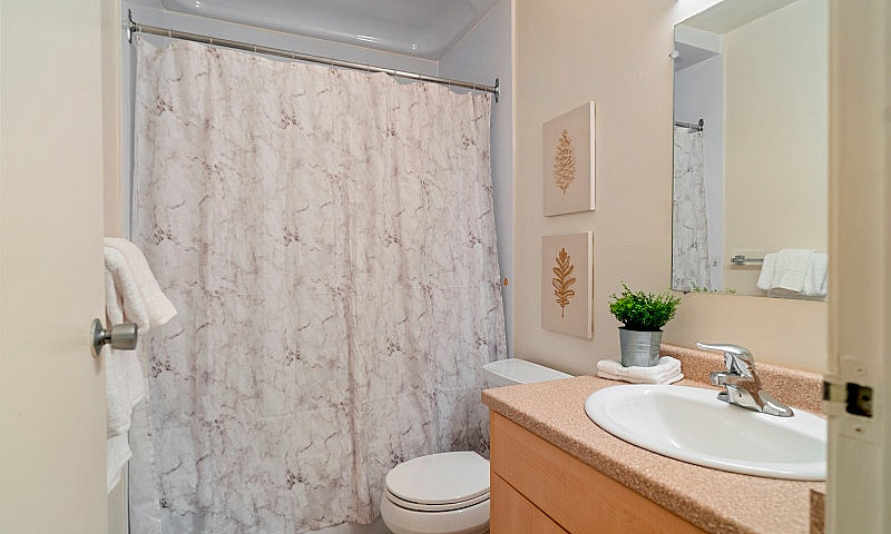 2 Bed - 1 Bath Apart...