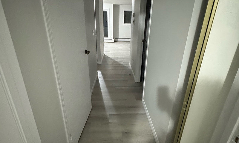 Stadium 1 Bedroom Co...